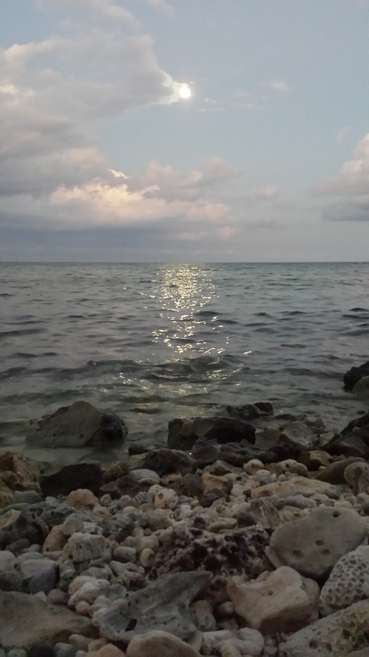 akumal, Caribbean rocks