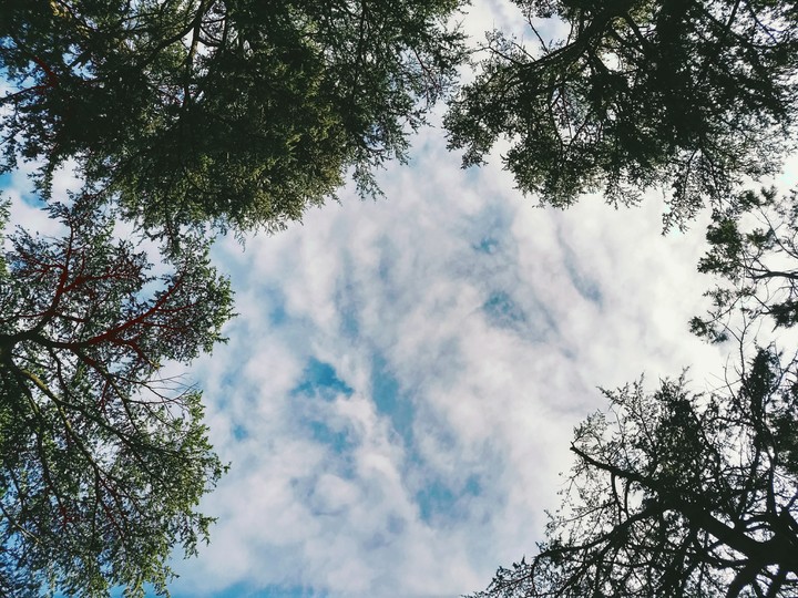 sky