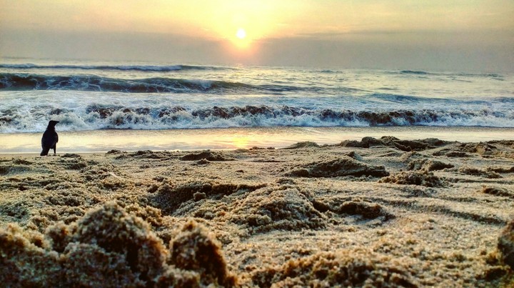 Sunrise