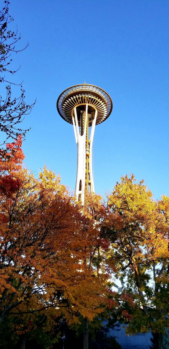 Space Needle