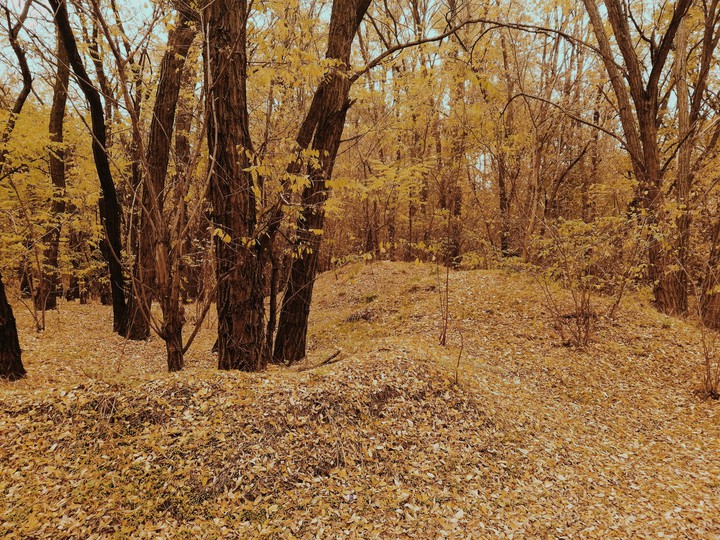 осень