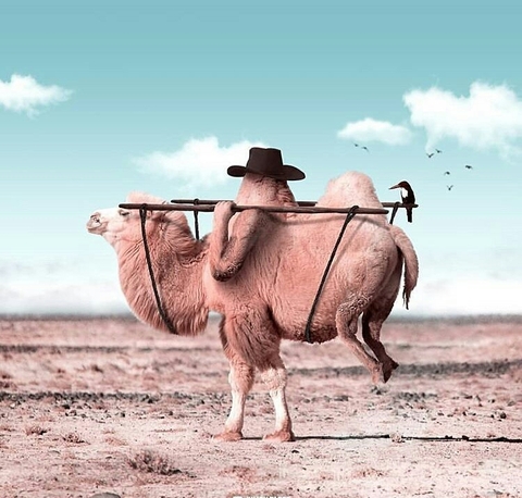 Long Journey