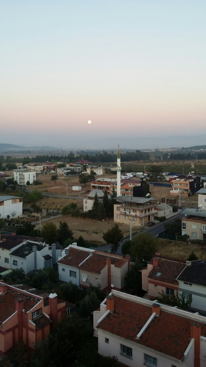 The moon