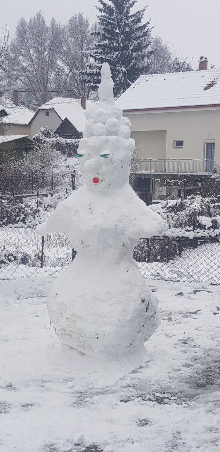 snow women