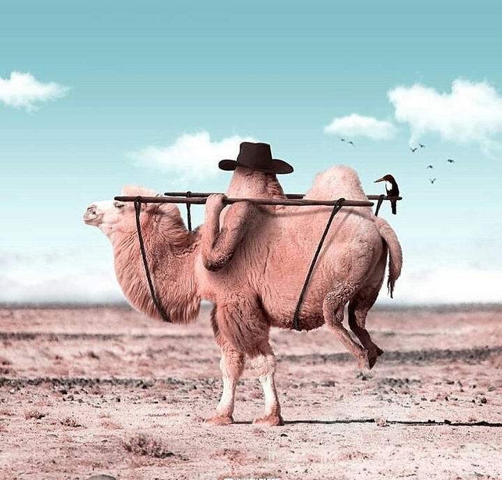 Long Journey