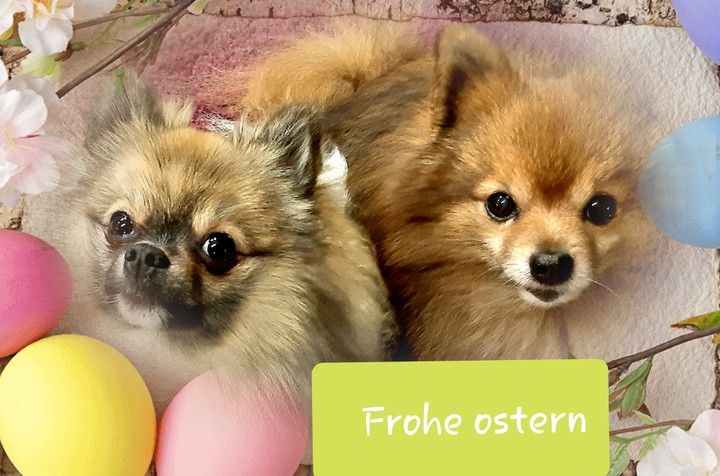 An alle schöne Feiertage ????