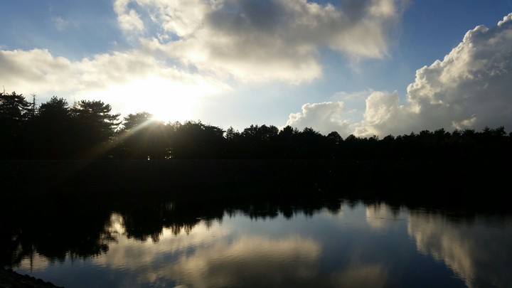 A bit of nature's splendour.