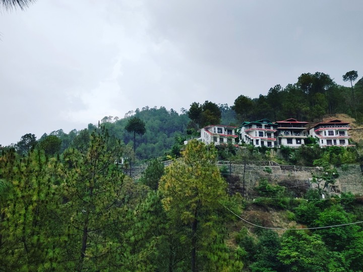 Mountain Love