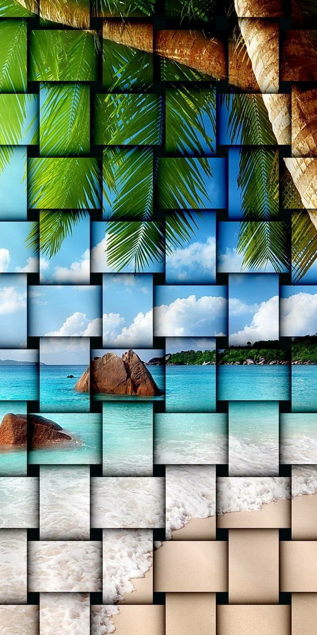 Paradise Twist