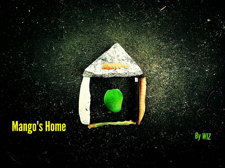 Mango's Home