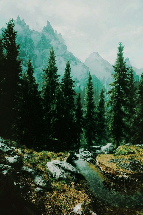 Forest Spring