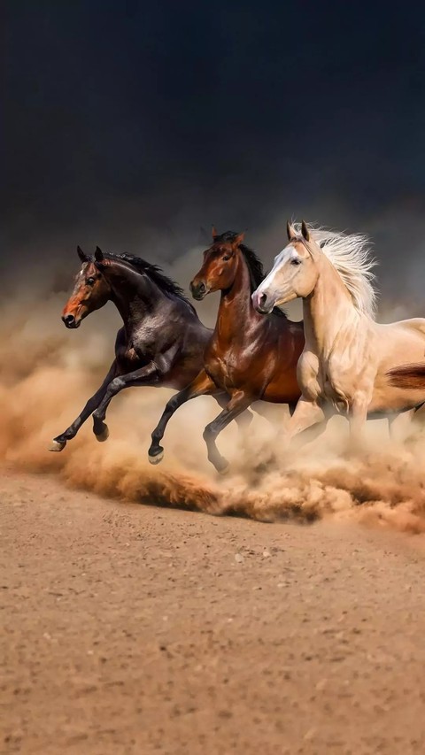 Horses...