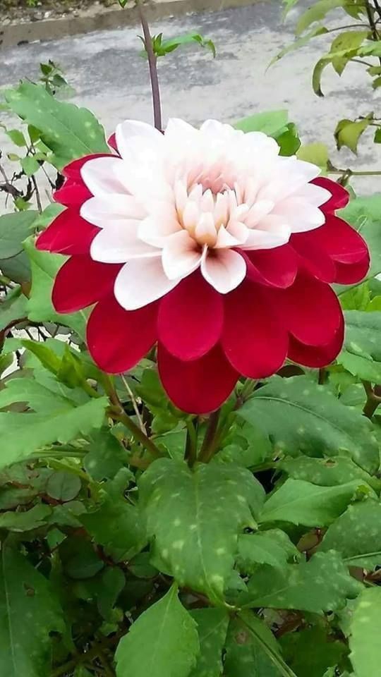 ^_^have a good day