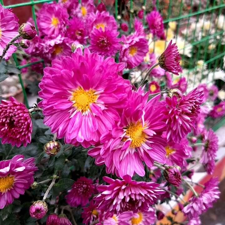 Click By Me