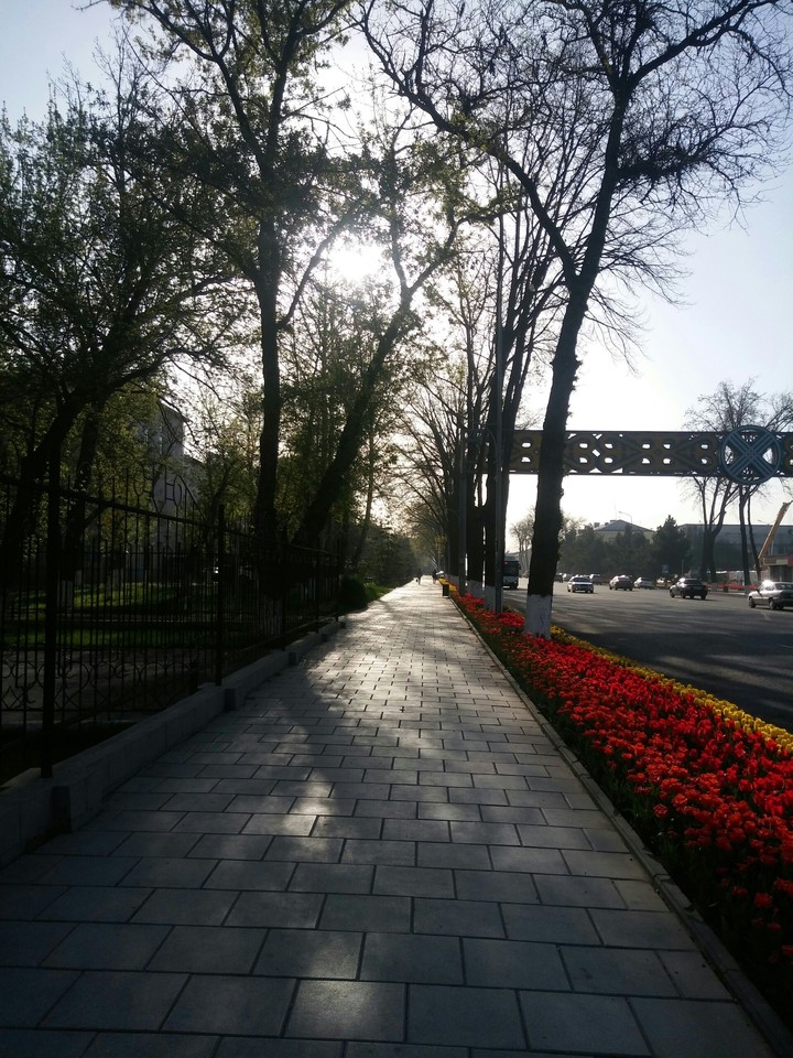 street