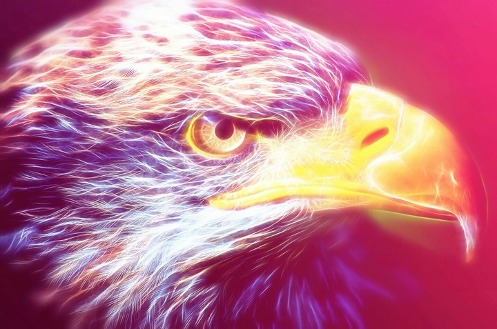 EDITED