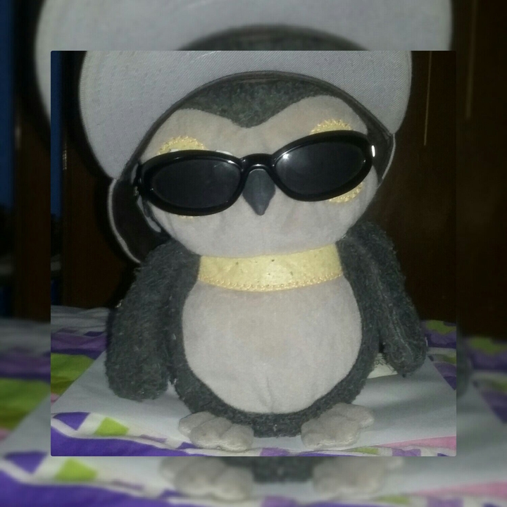 buho cholo