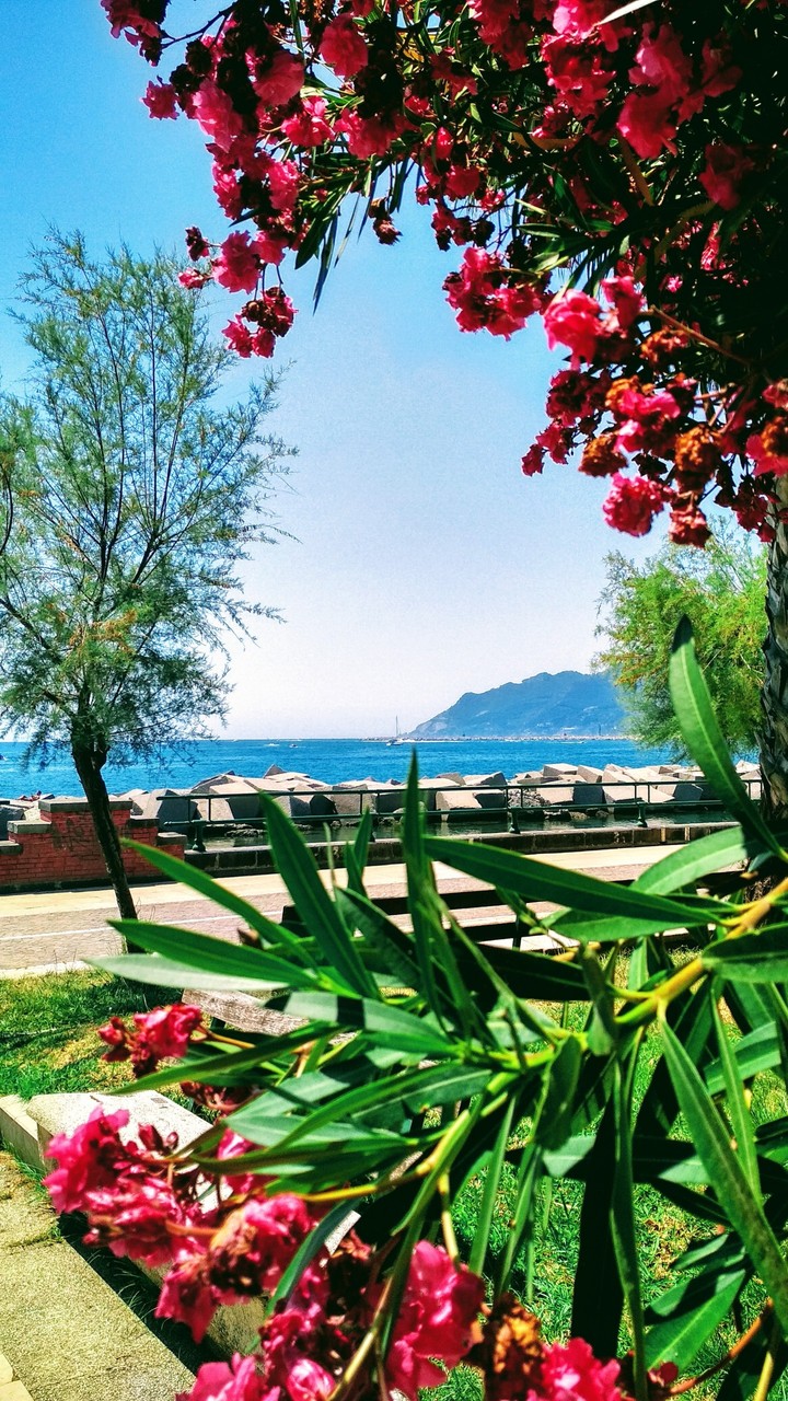 Sea view