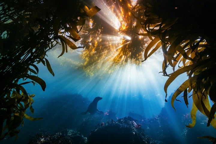 oceano