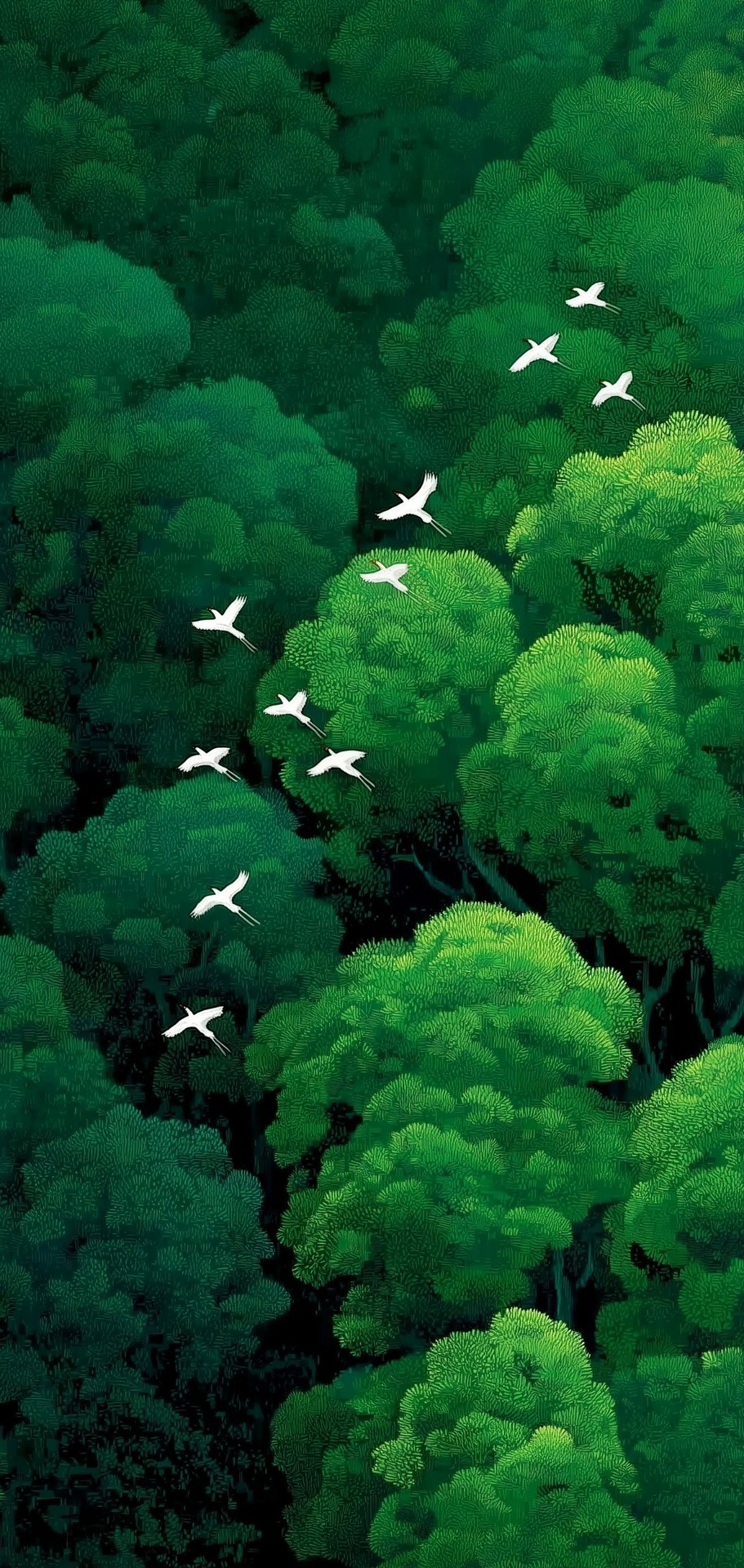 fondos de pantalla rainforest, forest