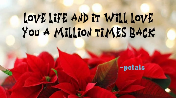 .