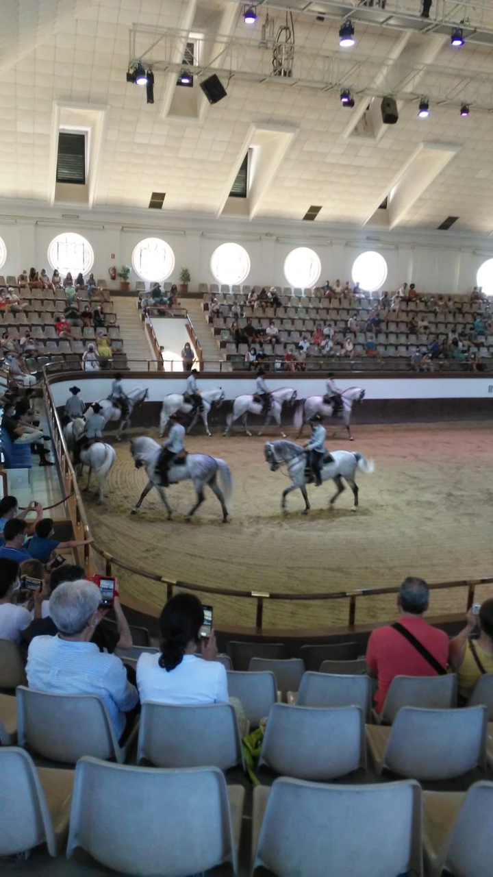 Real Escuela Ecuestre de Jerez