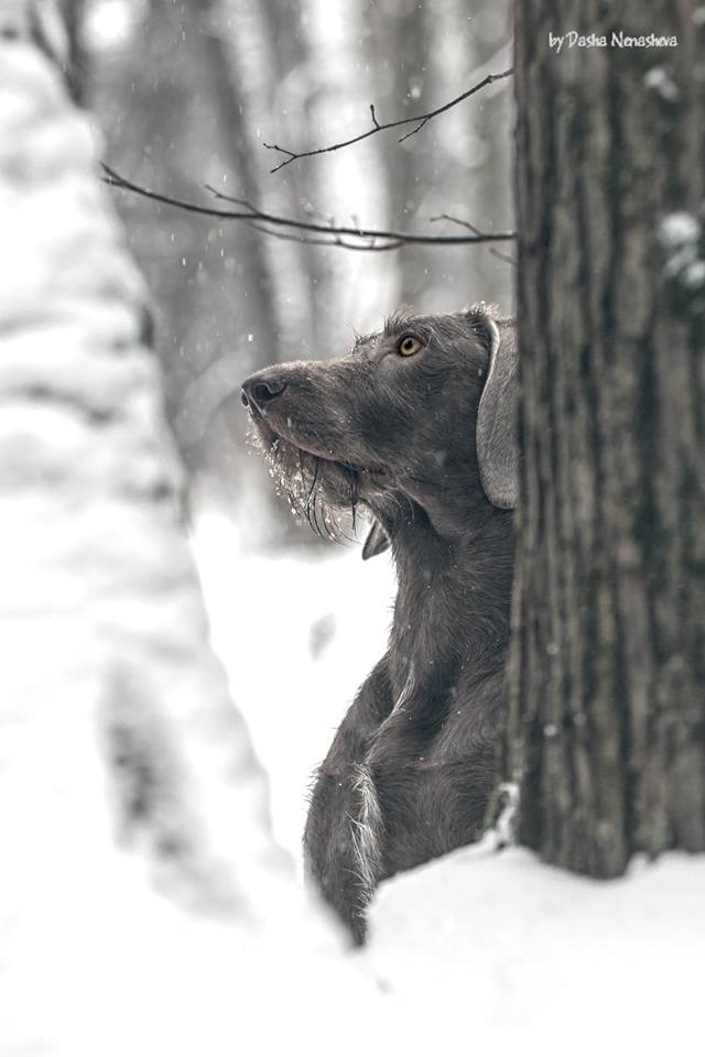 Winter is here