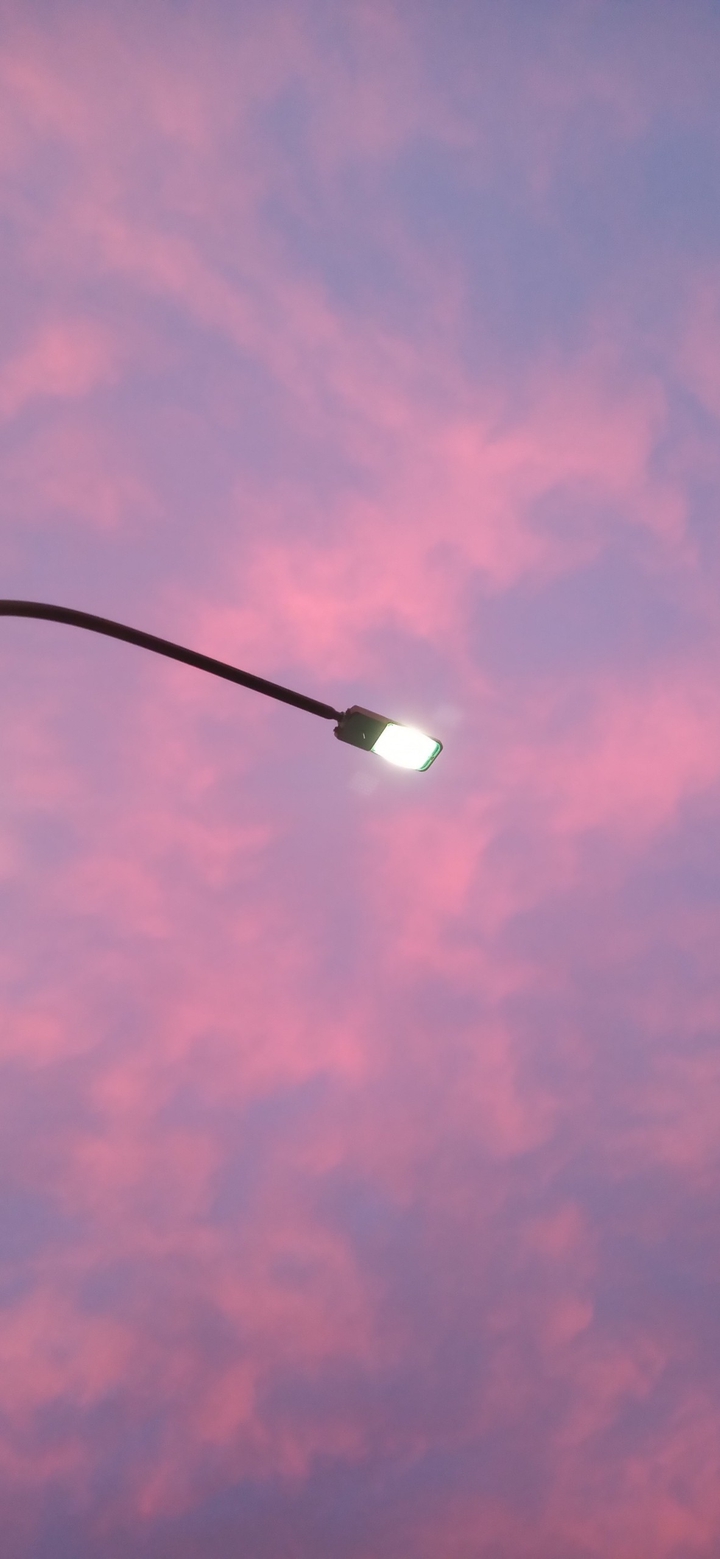 Cielo
