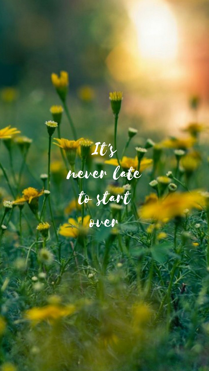 Quotes