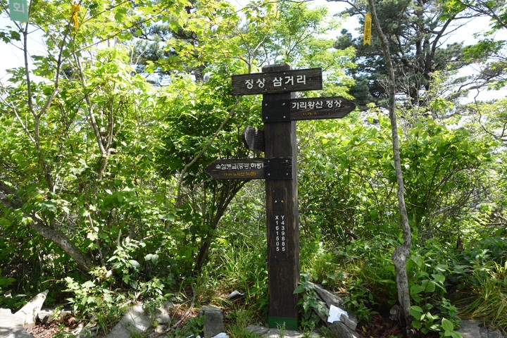 산이미지