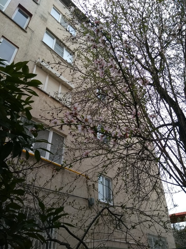 İlkbahar