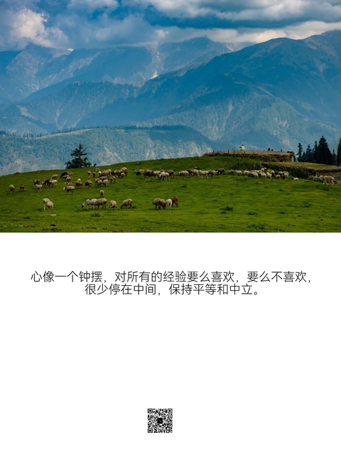 别被念头带走。