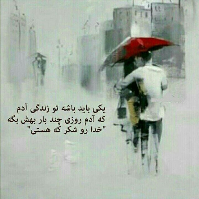 ❤❤❤❤
