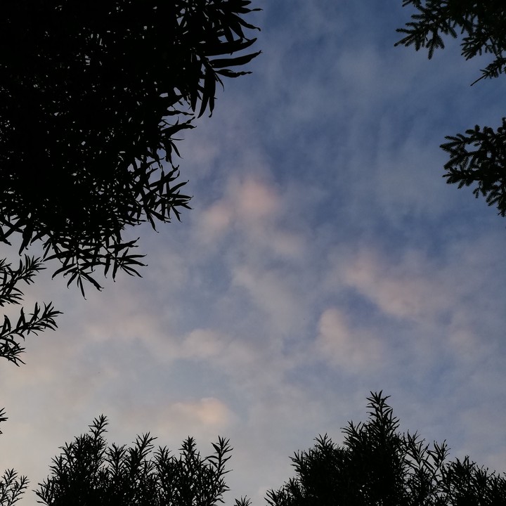 sky