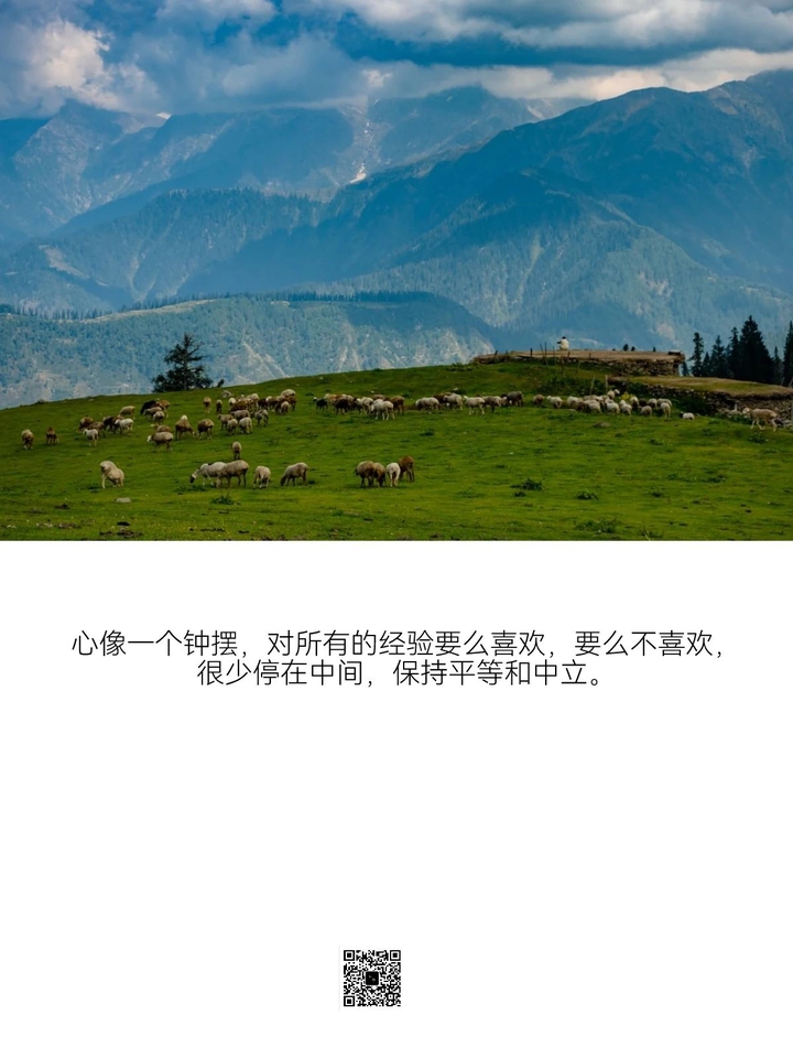别被念头带走。
