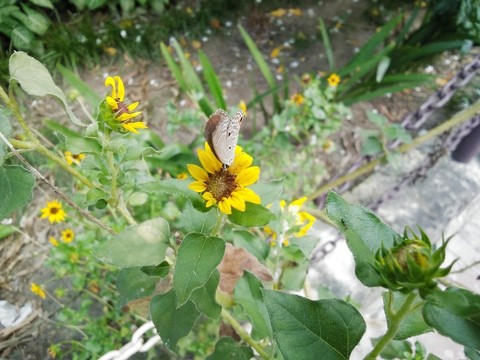 My click.