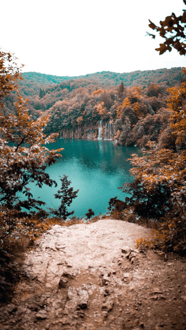 Autumn nature