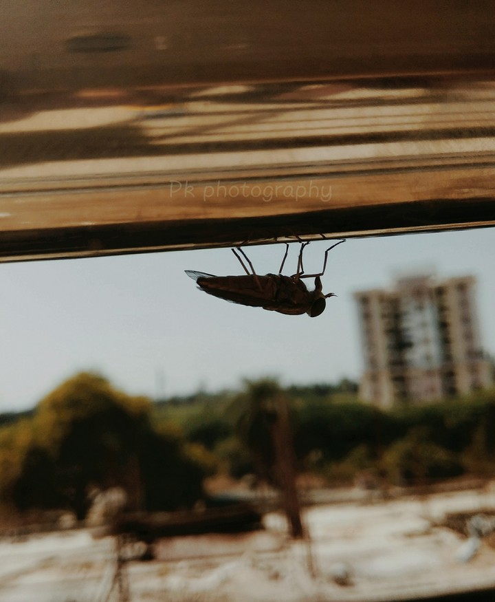 i gonna catch u up