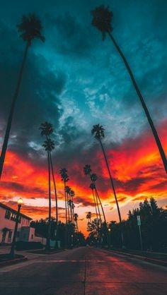 Sunset in Miami