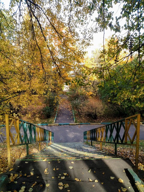fondos de pantalla walkway, nature