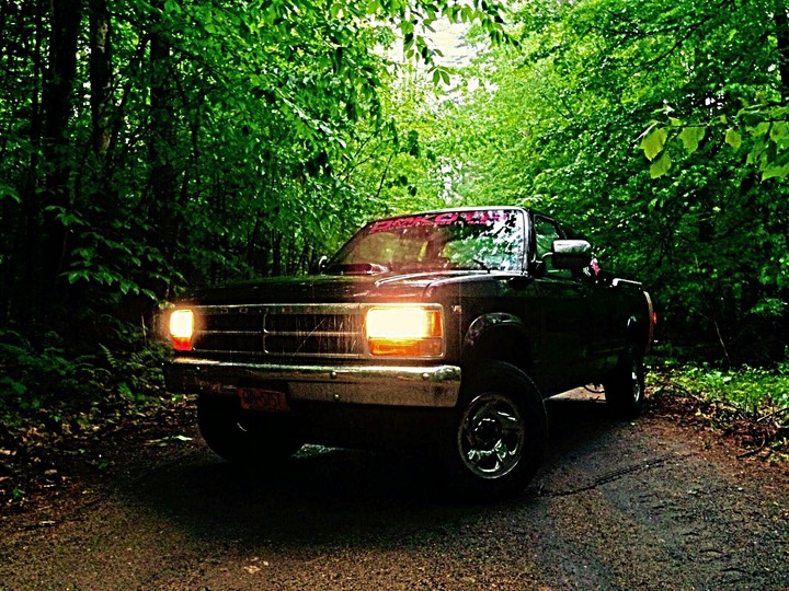 95 dakota