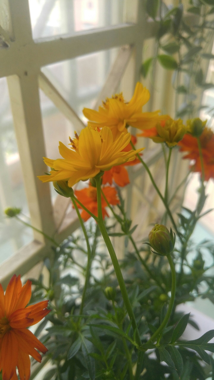 on window