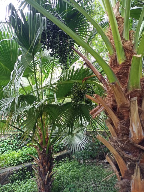nature