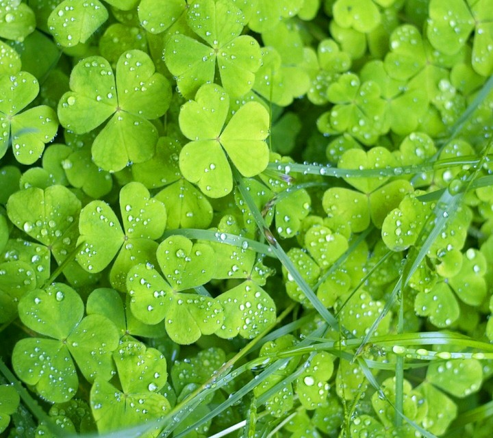 be lucky today