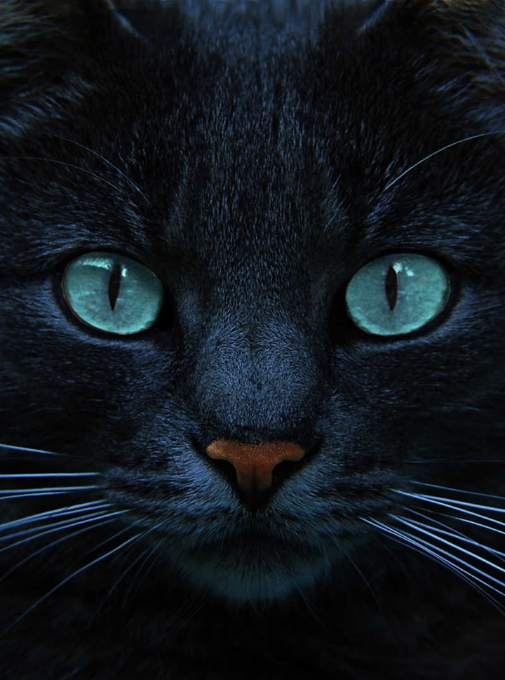 blue eyes