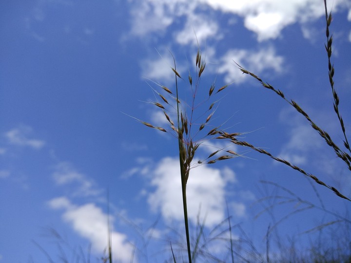 touch The Sky