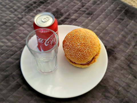 Home Made Veg Burger with Coca Cola Classic