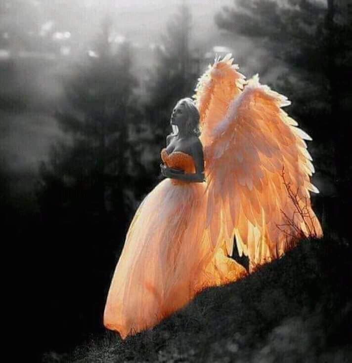 Angel