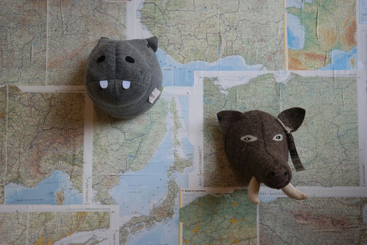 traveling//fake animals