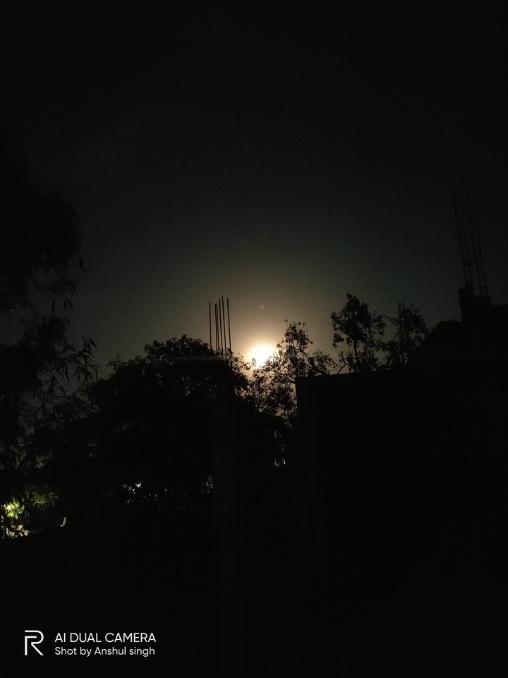 Night_shot